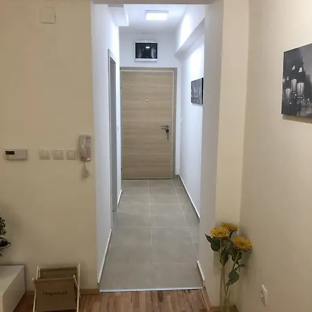 Luminous Apartment