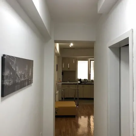 Luminous Apartment